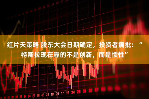 红片天策略 股东大会日期确定，投资者痛批：“特斯拉现在靠的不是创新，而是惯性”