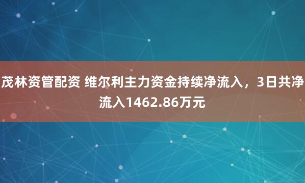 茂林资管配资 维尔利主力资金持续净流入，3日共净流入1462.86万元