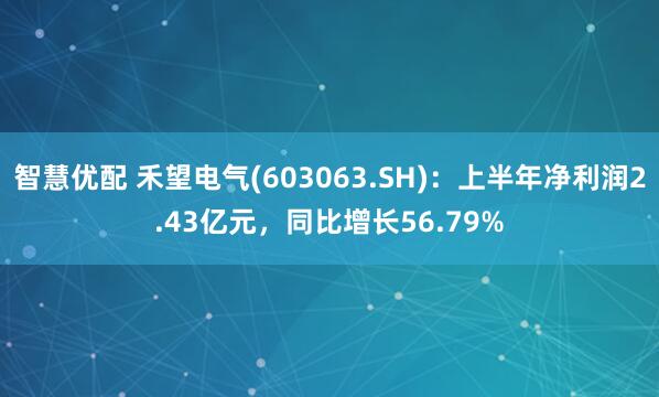 智慧优配 禾望电气(603063.SH)：上半年净利润2.43亿元，同比增长56.79%