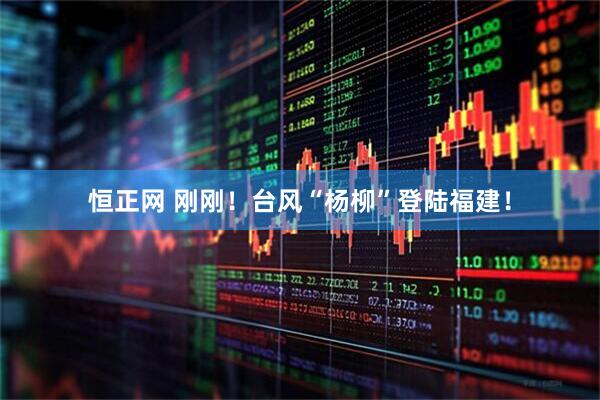 恒正网 刚刚！台风“杨柳”登陆福建！